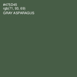 #475D45 - Gray Asparagus Color Image